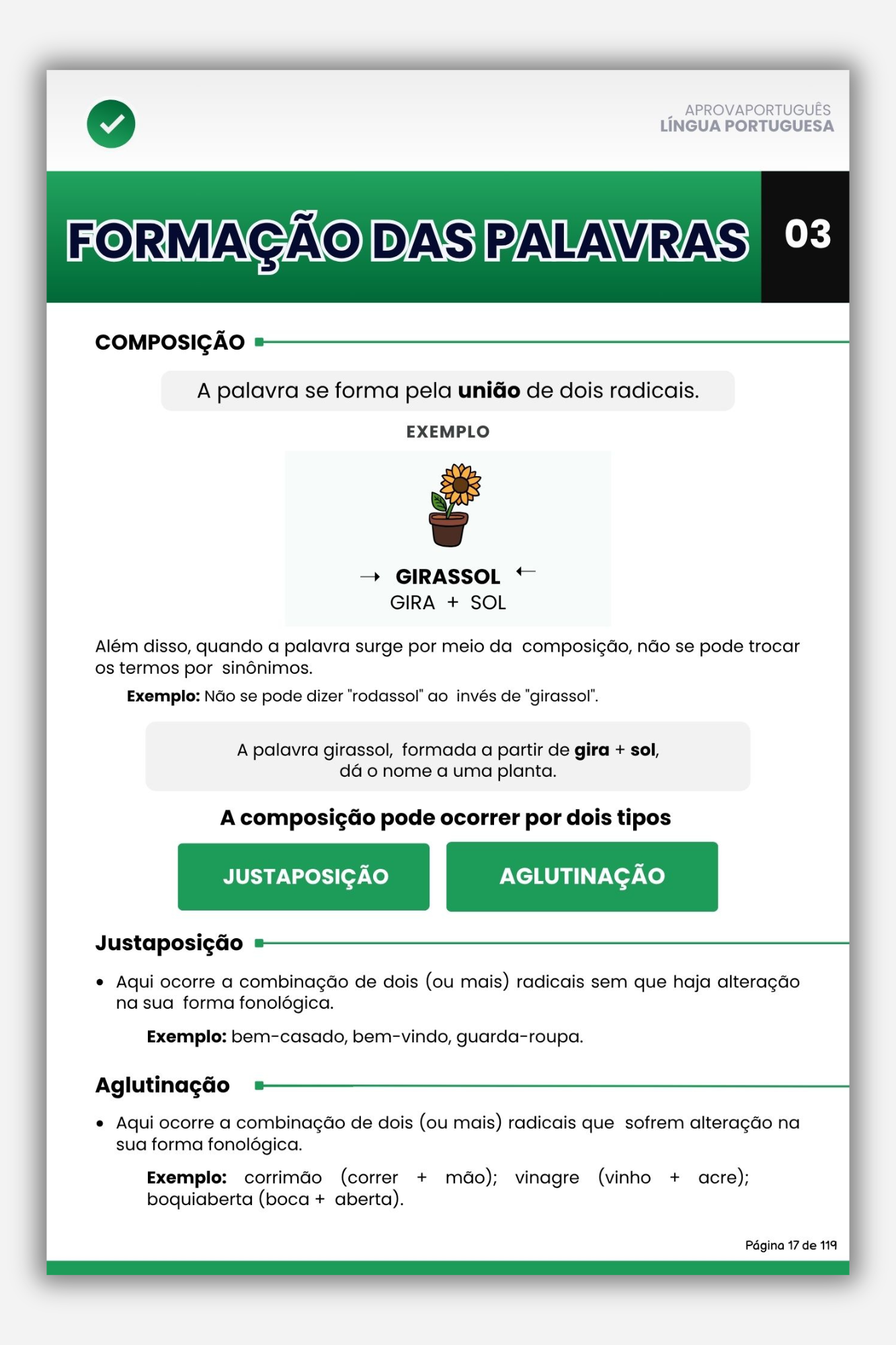 Prévia do material — slide 3